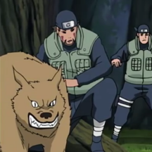 犬冢颚