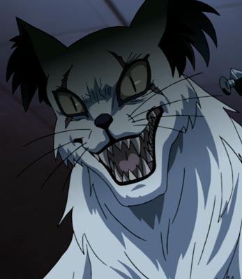 猫又