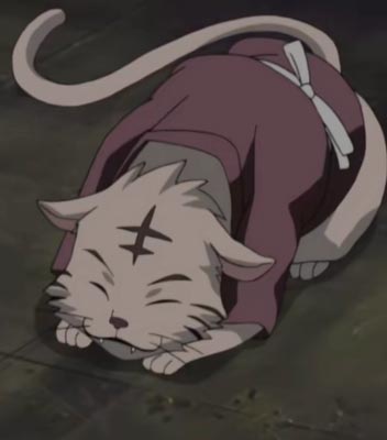雏