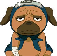 帕克