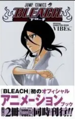 BLEACH-OFFICIAL ANIMATION BOOK VIBEs.